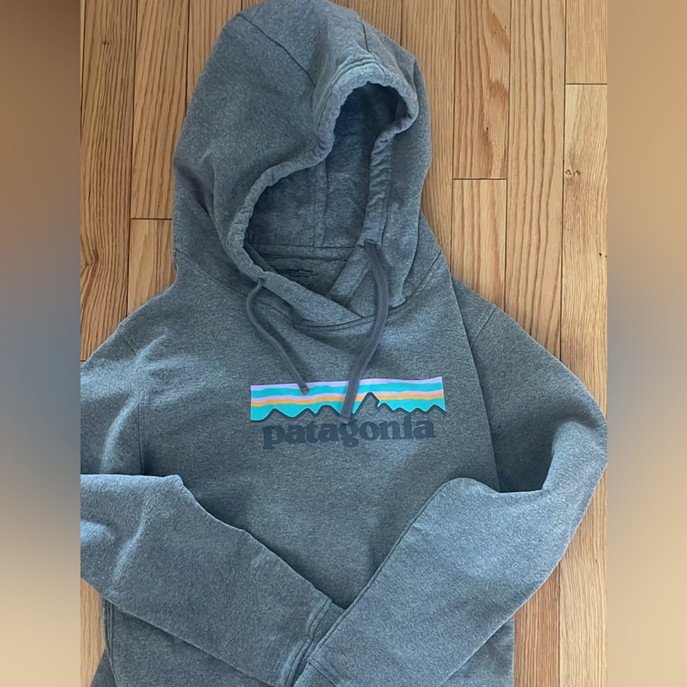 Patagonia Hoodie